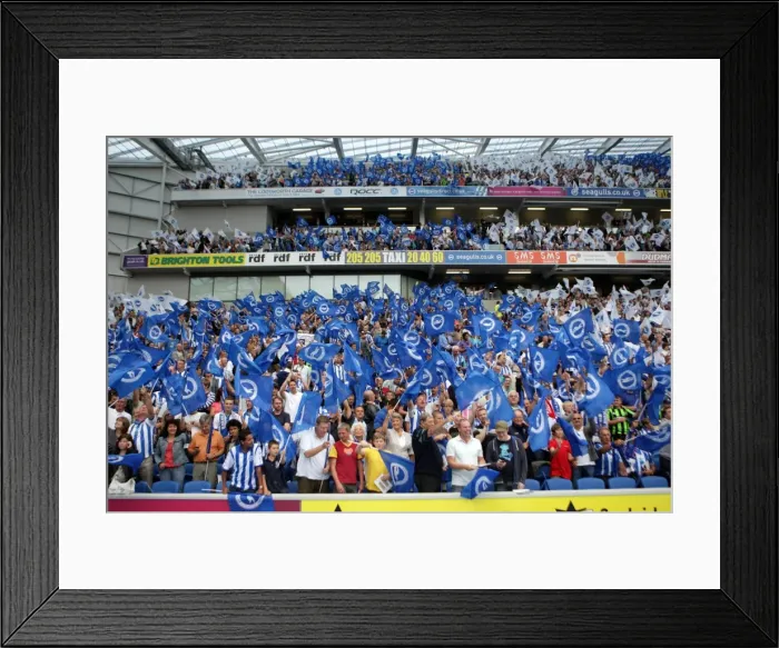 Framed Print : Brighton & Hove Albion 2011-12 Home Matches: Spurs and Doncaster