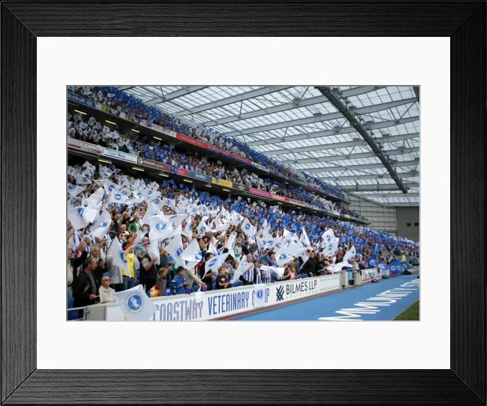 Framed Print : Brighton & Hove Albion 2011-12 Home Matches: Spurs and Doncaster Framed Print : Brighton & Hove Albion 2011-12 Home Matches: Spurs and Doncaster