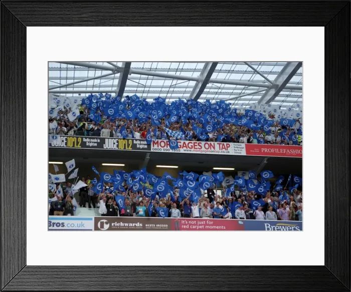 Framed Print : Brighton & Hove Albion FC: A Nostalgic Look Back at the 2011-12 Home Matches Against Spurs and Doncaster Framed Print : Brighton & Hove Albion FC: A Nostalgic Look Back at the 2011-12 Home Matches Against Spurs and Doncaster