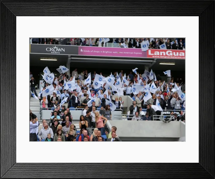 Framed Print : Brighton & Hove Albion 2011-12 Home Matches: Spurs and Doncaster Framed Print : Brighton & Hove Albion 2011-12 Home Matches: Spurs and Doncaster