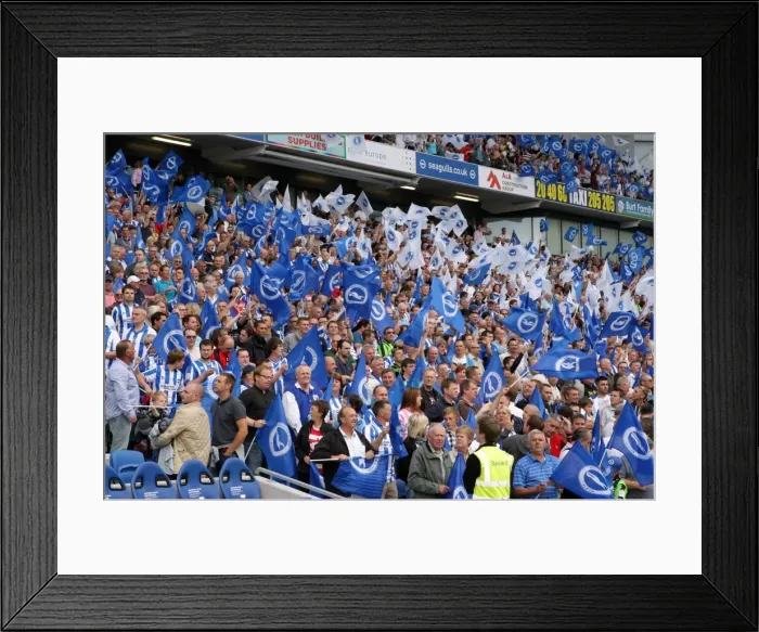Framed Print : Brighton & Hove Albion FC: 2011-12 Home Matches - Spurs and Doncaster Framed Print : Brighton & Hove Albion FC: 2011-12 Home Matches - Spurs and Doncaster