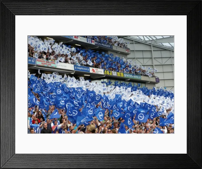 Framed Print : Brighton & Hove Albion FC: 2011-12 Home Matches - Spurs and Doncaster Framed Print : Brighton & Hove Albion FC: 2011-12 Home Matches - Spurs and Doncaster