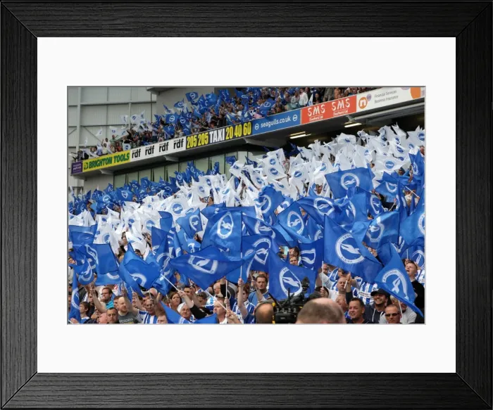 Framed Print : Brighton & Hove Albion FC: 2011-12 Home Matches - Spurs and Doncaster Framed Print : Brighton & Hove Albion FC: 2011-12 Home Matches - Spurs and Doncaster