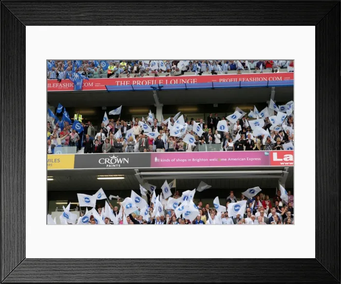 Framed Print : Brighton & Hove Albion FC: 2011-12 Home Matches - Spurs and Doncaster Framed Print : Brighton & Hove Albion FC: 2011-12 Home Matches - Spurs and Doncaster