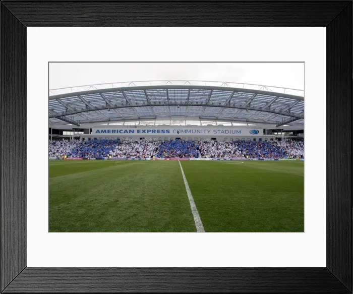 Framed Print : Brighton & Hove Albion 2011-12 Season Home Games: Spurs and Doncaster Framed Print : Brighton & Hove Albion 2011-12 Season Home Games: Spurs and Doncaster