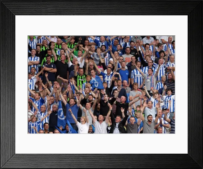 Framed Print : Brighton & Hove Albion FC: 2011-12 Home Matches - Spurs and Doncaster