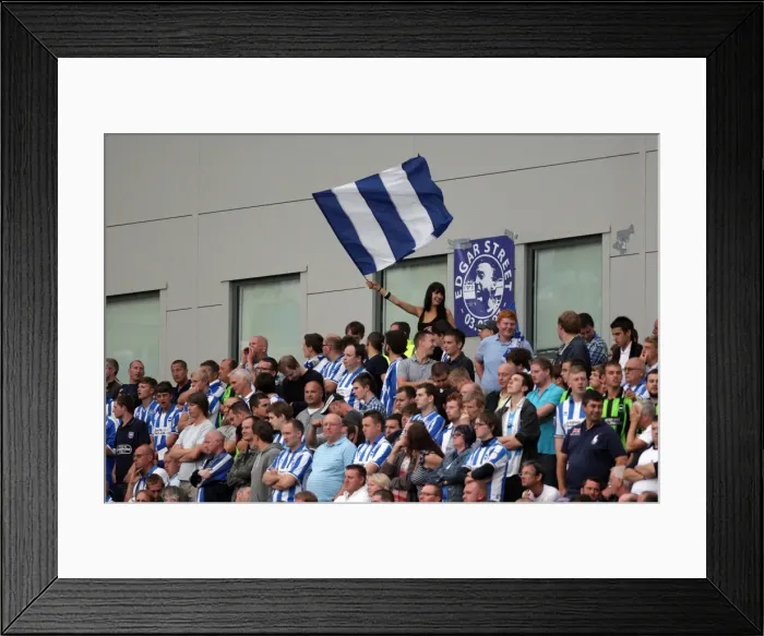 Framed Print : Brighton & Hove Albion 2011-12 Home Matches: Spurs and Doncaster