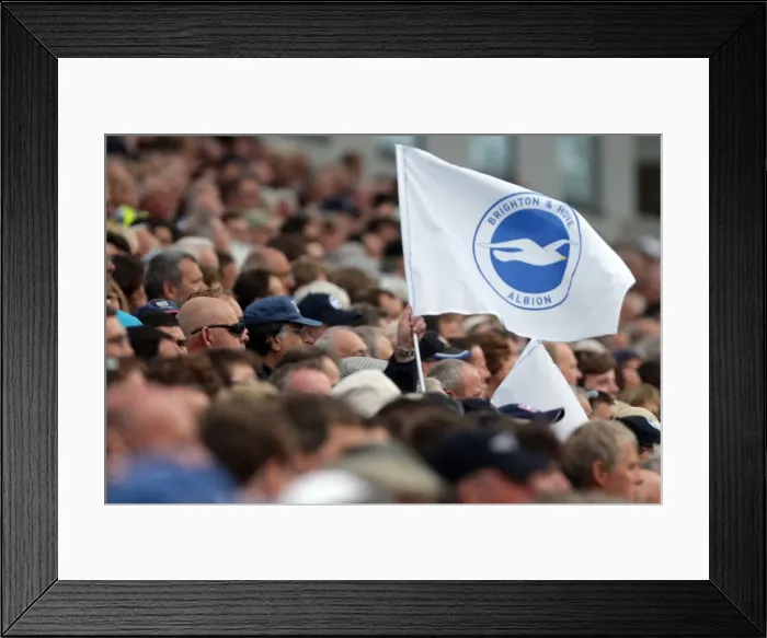 Framed Print : Brighton & Hove Albion 2011-12 Home Games: Spurs and Doncaster Framed Print : Brighton & Hove Albion 2011-12 Home Games: Spurs and Doncaster