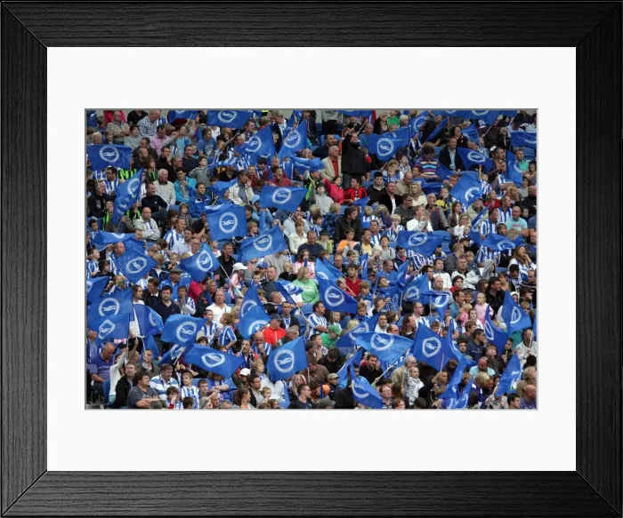 Framed Print : Brighton & Hove Albion FC: 2011-12 Home Matches - Spurs and Doncaster