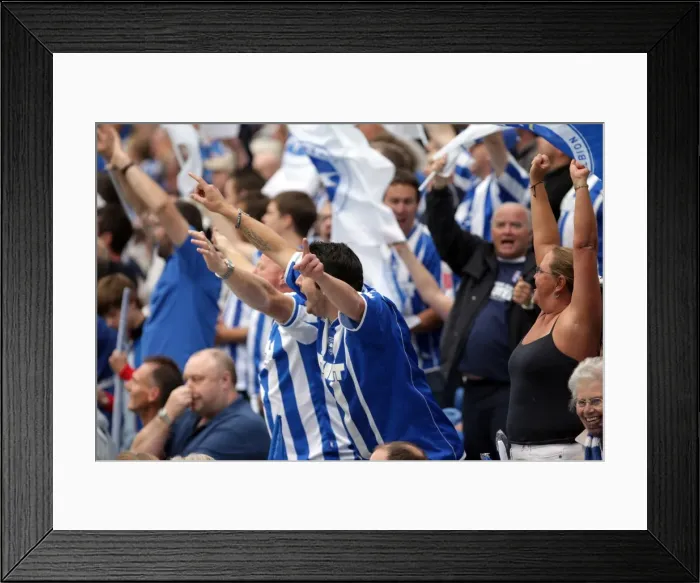 Framed Print : Brighton & Hove Albion 2011-12 Home Matches: Spurs and Doncaster Framed Print : Brighton & Hove Albion 2011-12 Home Matches: Spurs and Doncaster