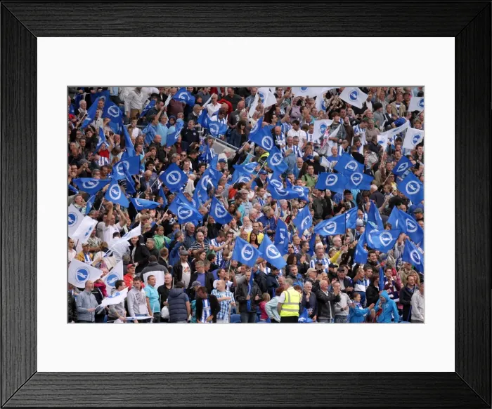 Framed Print : Brighton & Hove Albion 2011-12 Home Matches: Spurs and Doncaster Framed Print : Brighton & Hove Albion 2011-12 Home Matches: Spurs and Doncaster