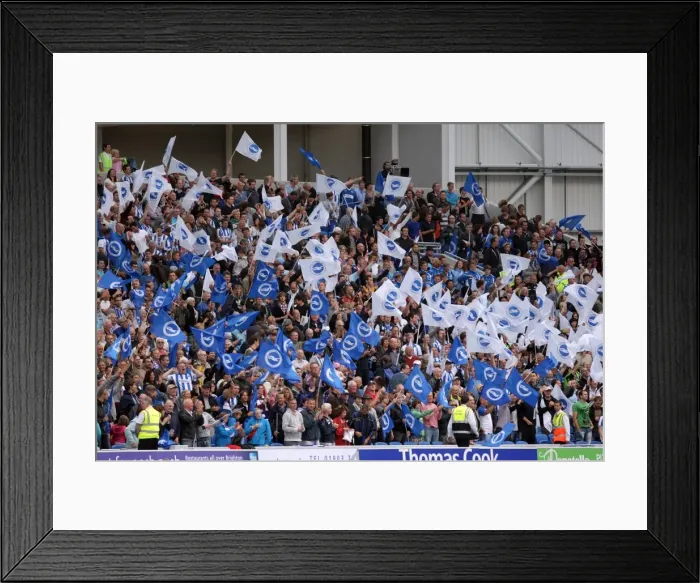 Framed Print : Brighton & Hove Albion 2011-12 Home Matches: Spurs and Doncaster Framed Print : Brighton & Hove Albion 2011-12 Home Matches: Spurs and Doncaster