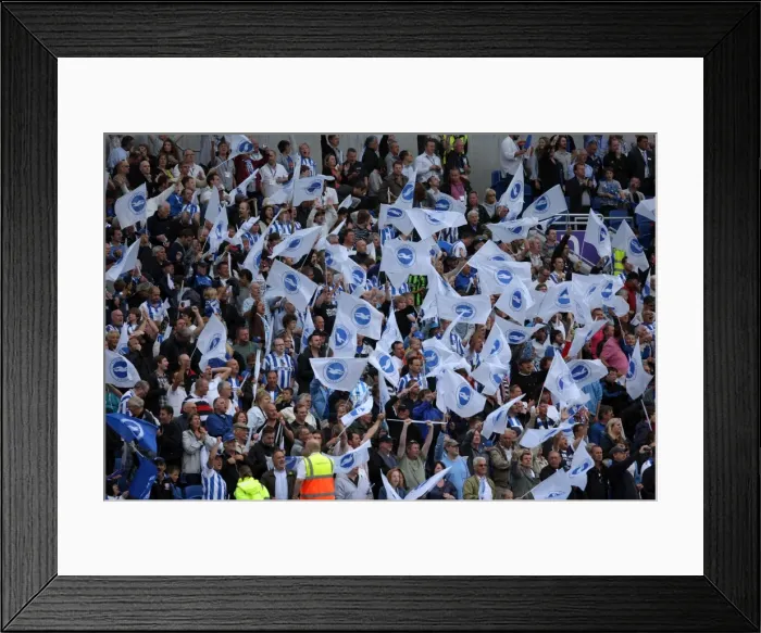 Framed Print : Brighton & Hove Albion FC: 2011-12 Home Matches - Spurs and Doncaster Framed Print : Brighton & Hove Albion FC: 2011-12 Home Matches - Spurs and Doncaster