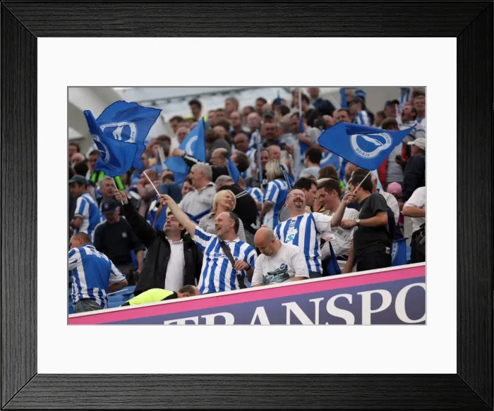 Framed Print : Brighton & Hove Albion FC: 2011-12 Home Matches - Spurs and Doncaster Framed Print : Brighton & Hove Albion FC: 2011-12 Home Matches - Spurs and Doncaster