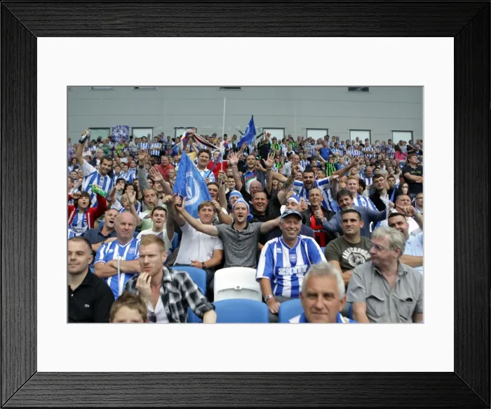Framed Print : Brighton & Hove Albion 2011-12 Home Matches: Spurs and Doncaster