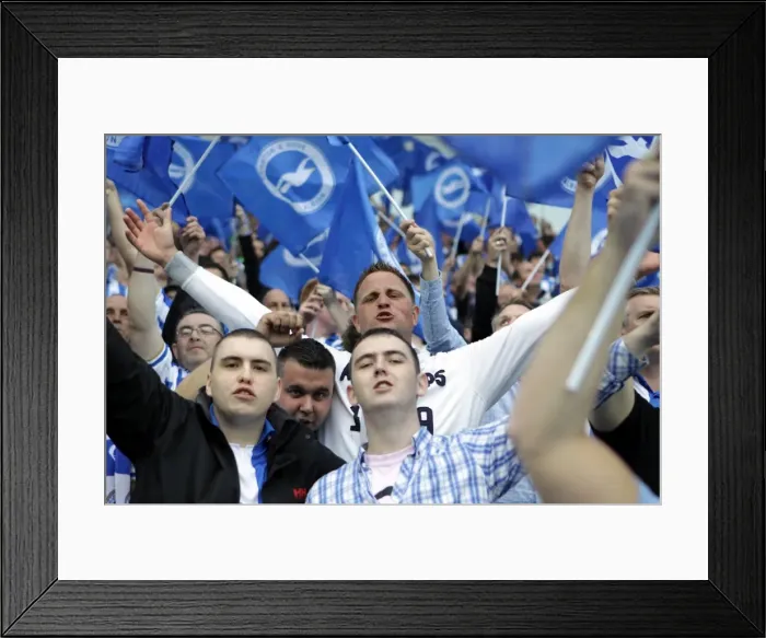 Framed Print : Brighton & Hove Albion FC: 2011-12 Home Matches - Spurs and Doncaster Framed Print : Brighton & Hove Albion FC: 2011-12 Home Matches - Spurs and Doncaster