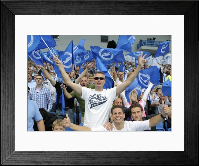 Framed Print : Brighton & Hove Albion FC: 2011-12 Home Matches - Spurs and Doncaster