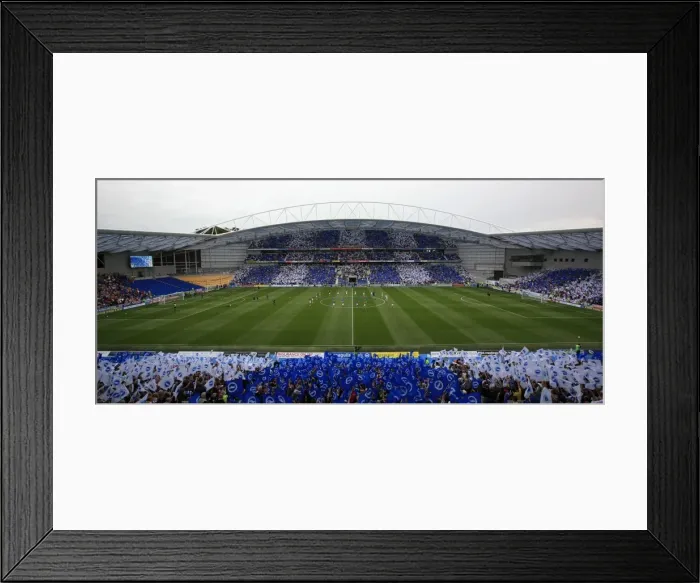 Framed Print : Brighton & Hove Albion 2011-12 Home Matches: Spurs and Doncaster Framed Print : Brighton & Hove Albion 2011-12 Home Matches: Spurs and Doncaster