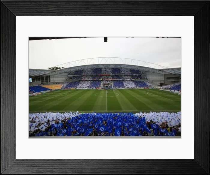 Framed Print : Brighton & Hove Albion FC: 2011-12 Home Matches - Spurs and Doncaster Framed Print : Brighton & Hove Albion FC: 2011-12 Home Matches - Spurs and Doncaster
