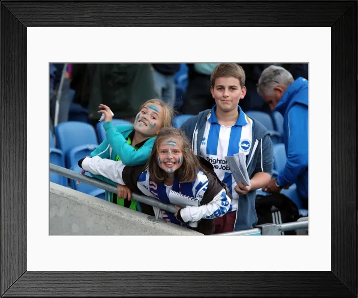 Framed Print : Brighton & Hove Albion: Nostalgic Review of the 2012-13 Home Game Against Birmingham City (September 29, 2012) Framed Print : Brighton & Hove Albion: Nostalgic Review of the 2012-13 Home Game Against Birmingham City (September 29, 2012)