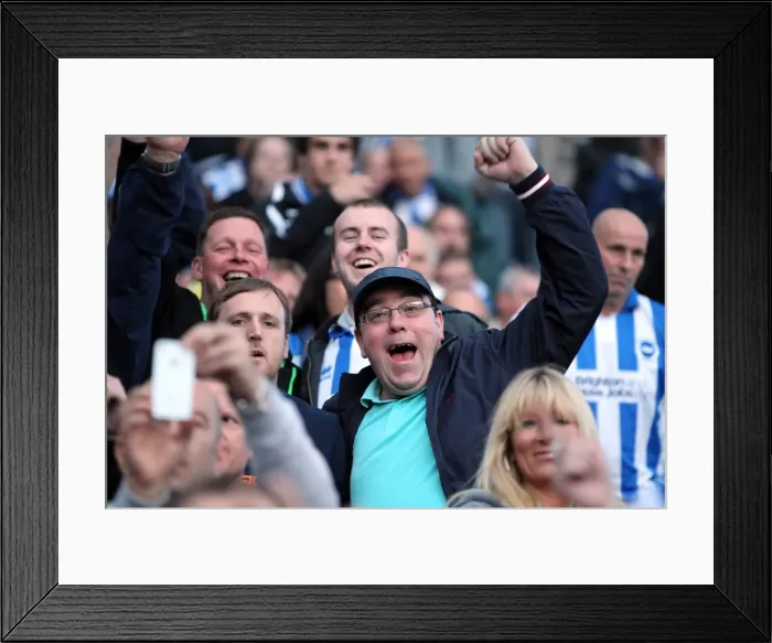 Framed Print : A Glimpse into the Past: Brighton & Hove Albion vs Birmingham City (2012-13) - Home Game Framed Print : A Glimpse into the Past: Brighton & Hove Albion vs Birmingham City (2012-13) - Home Game