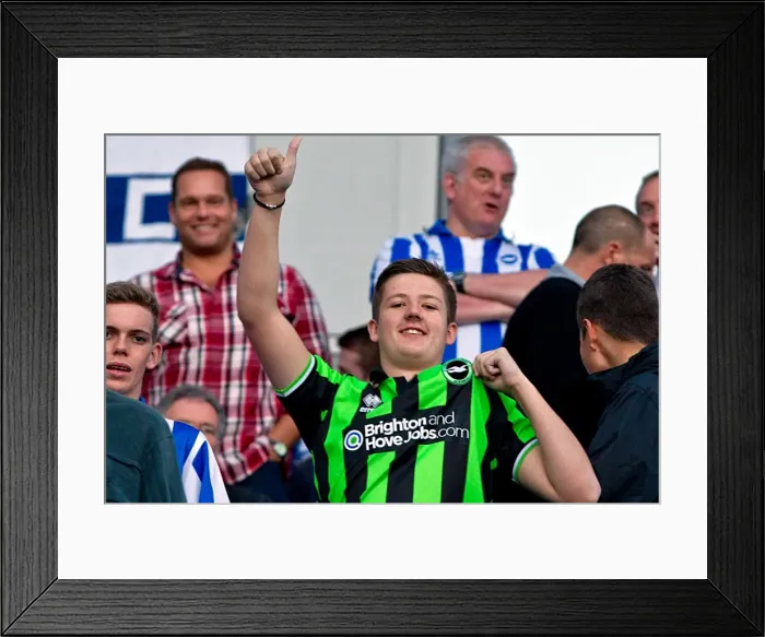 Framed Print : A Glance Back: Thrilling 2012-13 Home Game - Brighton & Hove Albion vs. Birmingham City Framed Print : A Glance Back: Thrilling 2012-13 Home Game - Brighton & Hove Albion vs. Birmingham City