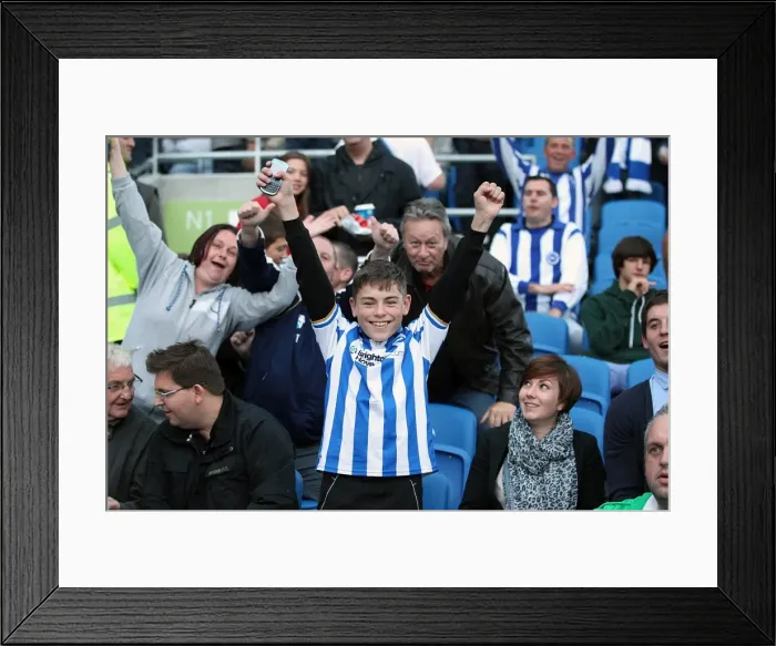 Framed Print : Brighton & Hove Albion: Reliving the 2012-13 Home Game Against Birmingham City Framed Print : Brighton & Hove Albion: Reliving the 2012-13 Home Game Against Birmingham City