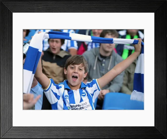 Framed Print : Brighton & Hove Albion vs. Birmingham City (2012-13 Home Game) Framed Print : Brighton & Hove Albion vs. Birmingham City (2012-13 Home Game)