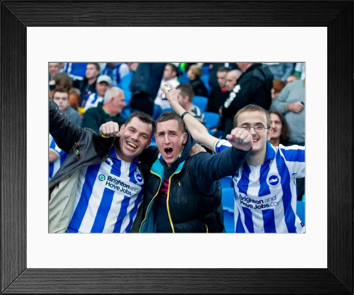 Framed Print : Brighton & Hove Albion: Reliving the Excitement of the 2012-13 Season - Home Game vs. Birmingham City Framed Print : Brighton & Hove Albion: Reliving the Excitement of the 2012-13 Season - Home Game vs. Birmingham City