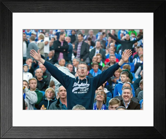 Framed Print : Brighton & Hove Albion vs. Birmingham City: 2012-13 Season Home Game Highlights (September 29) Framed Print : Brighton & Hove Albion vs. Birmingham City: 2012-13 Season Home Game Highlights (September 29)