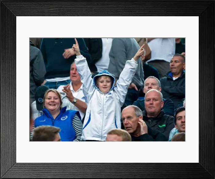 Framed Print : Brighton & Hove Albion vs. Birmingham City: 2012-13 Season Home Game Highlights (September 29) Framed Print : Brighton & Hove Albion vs. Birmingham City: 2012-13 Season Home Game Highlights (September 29)