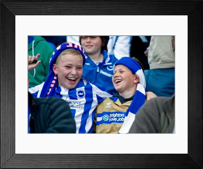 Framed Print : Brighton & Hove Albion vs. Birmingham City (2012-13): A Nostalgic Look Back at Our Home Game Framed Print : Brighton & Hove Albion vs. Birmingham City (2012-13): A Nostalgic Look Back at Our Home Game