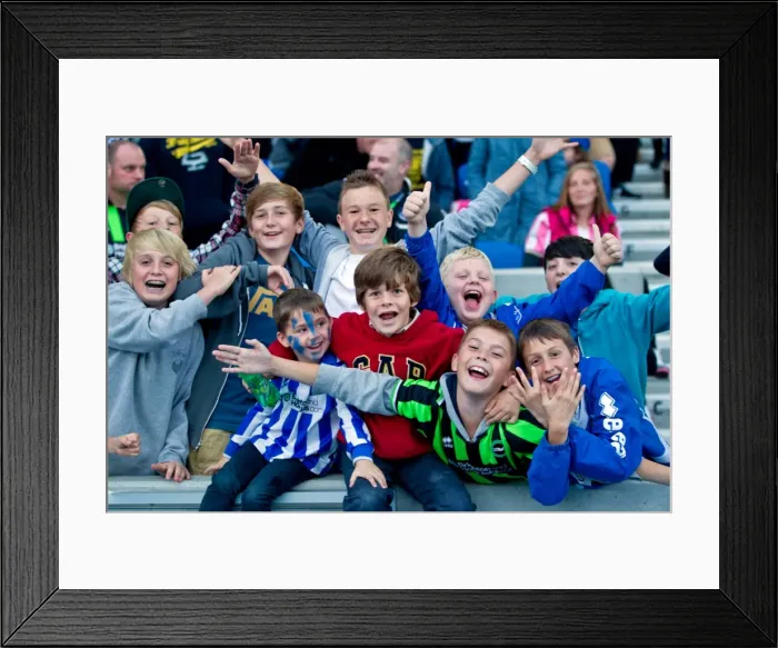 Framed Print : Brighton & Hove Albion: Reliving the Past - 2012-13 Home Game vs. Birmingham City Framed Print : Brighton & Hove Albion: Reliving the Past - 2012-13 Home Game vs. Birmingham City