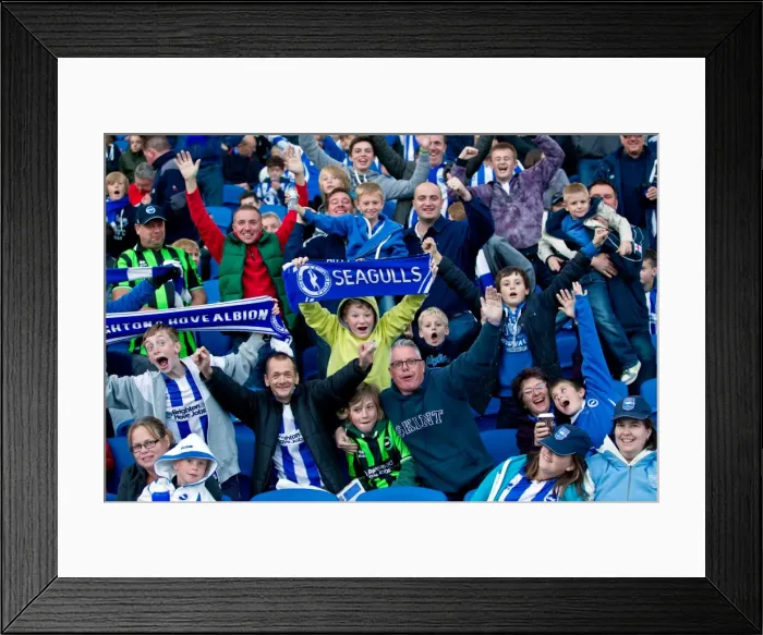 Framed Print : Brighton & Hove Albion vs Birmingham City (2012-13): Home Game Highlights