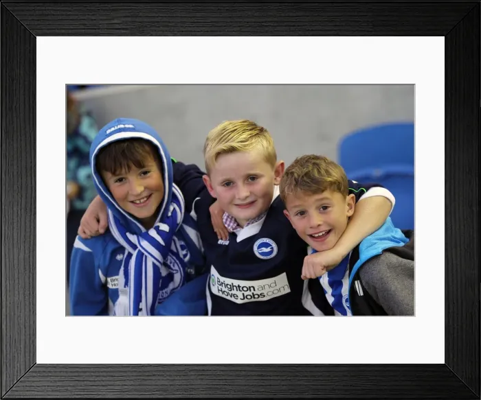 Framed Print : Brighton & Hove Albion: 2012-13 Home Game vs. Birmingham City - A Nostalgic Look Back Framed Print : Brighton & Hove Albion: 2012-13 Home Game vs. Birmingham City - A Nostalgic Look Back