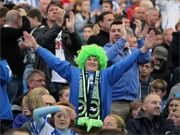 Brighton & Hove Albion vs. Birmingham City (2012-13): A Look Back at Our Exciting Home Match