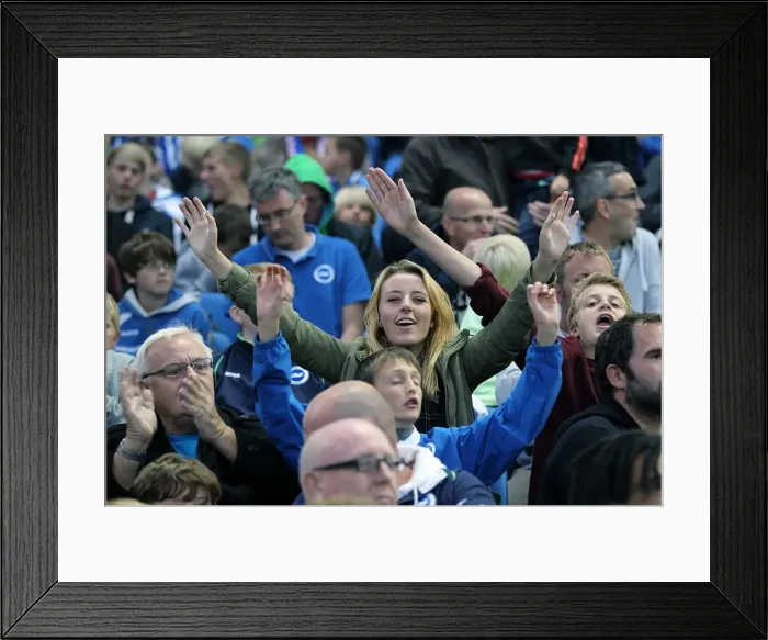 Framed Print : Seaside Seasons Battle: Brighton & Hove Albion vs Birmingham City (2012-13) - Home Game Highlights Framed Print : Seaside Seasons Battle: Brighton & Hove Albion vs Birmingham City (2012-13) - Home Game Highlights