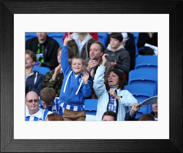 Framed Print : Brighton & Hove Albion vs. Birmingham City: A Home Battle - September 29, 2012 (Season 2012-13) Framed Print : Brighton & Hove Albion vs. Birmingham City: A Home Battle - September 29, 2012 (Season 2012-13)