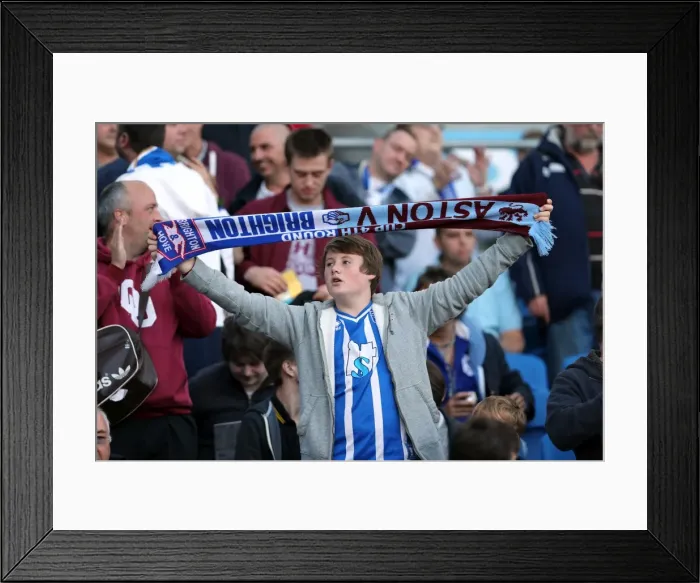 Framed Print : Brighton & Hove Albion vs. Birmingham City: A Thrilling 2012-13 Home Game Framed Print : Brighton & Hove Albion vs. Birmingham City: A Thrilling 2012-13 Home Game
