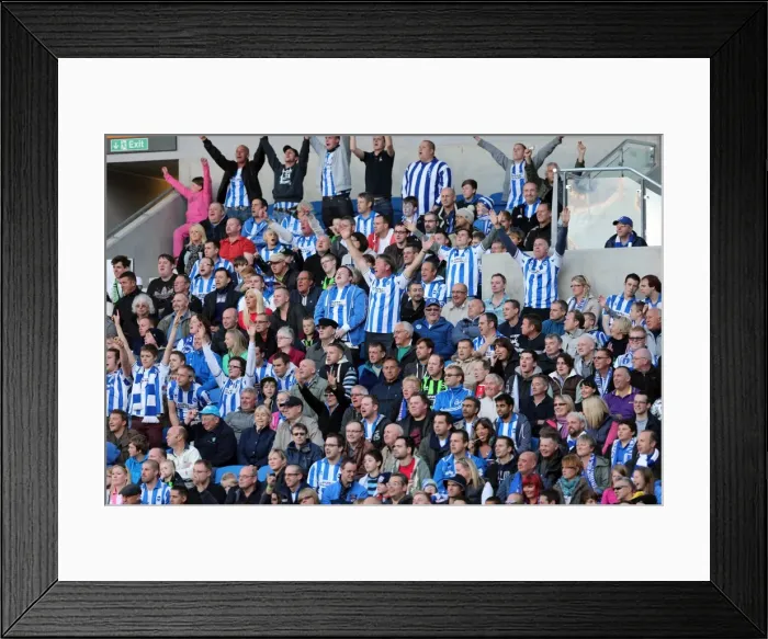 Framed Print : Brighton & Hove Albion vs Birmingham City: A Thrilling 2012-13 Home Match Framed Print : Brighton & Hove Albion vs Birmingham City: A Thrilling 2012-13 Home Match