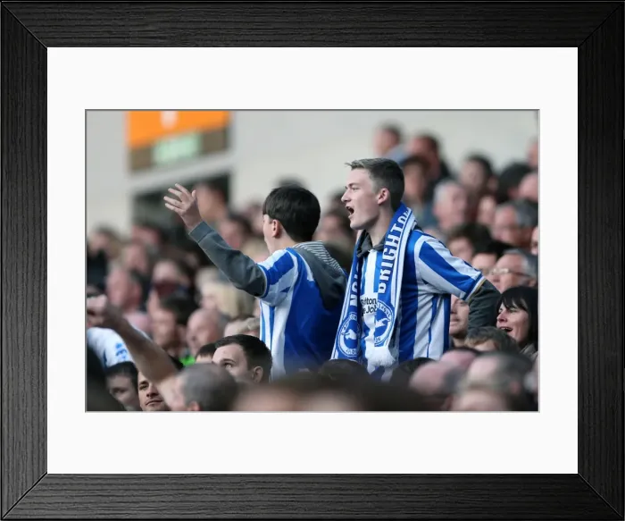 Framed Print : Brighton & Hove Albion vs. Birmingham City: 2012-13 Home Game Highlights - September 29, 2012