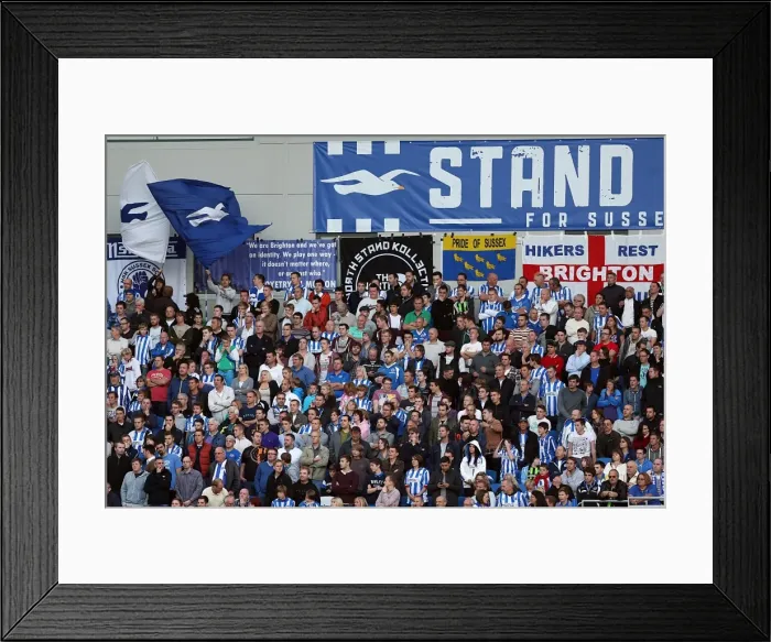 Framed Print : Brighton & Hove Albion vs Birmingham City: 2012-13 Home Game Framed Print : Brighton & Hove Albion vs Birmingham City: 2012-13 Home Game
