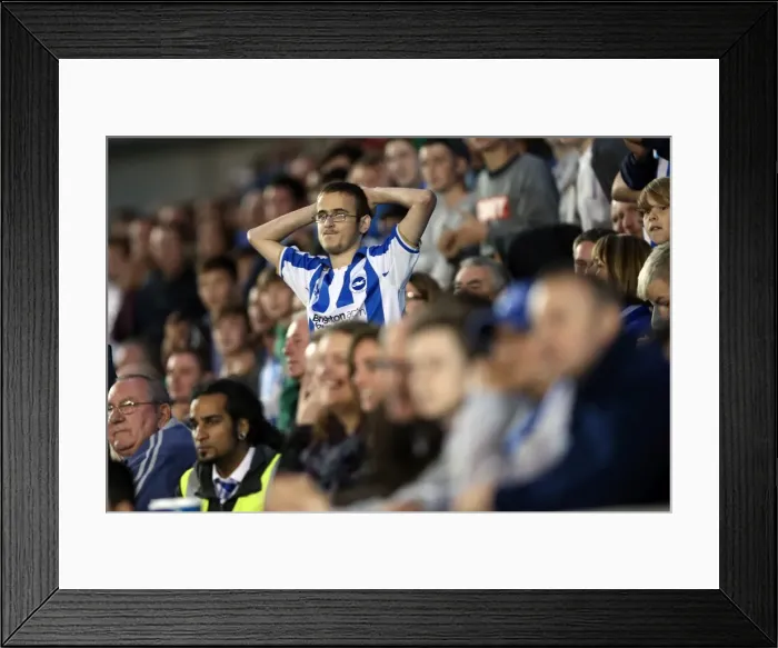 Framed Print : A Glance Back: Exciting 2012-13 Home Game - Brighton & Hove Albion vs. Birmingham City Framed Print : A Glance Back: Exciting 2012-13 Home Game - Brighton & Hove Albion vs. Birmingham City