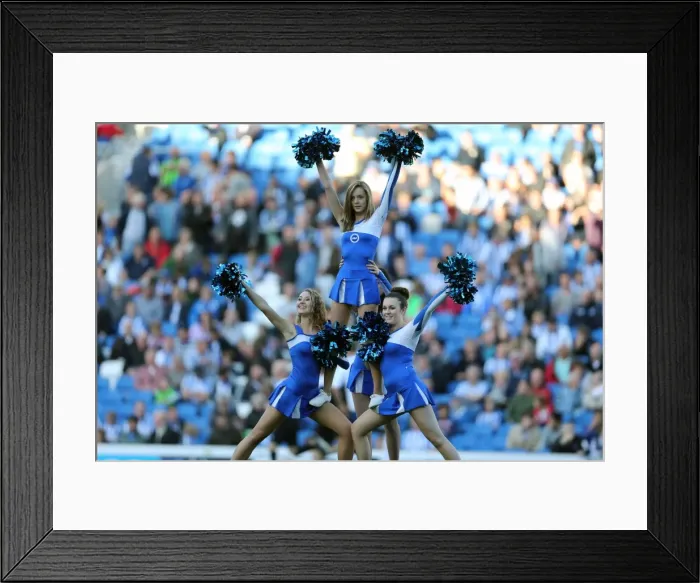 Framed Print : Brighton & Hove Albion: Nostalgic Home Game against Birmingham City (2012-13 Season) Framed Print : Brighton & Hove Albion: Nostalgic Home Game against Birmingham City (2012-13 Season)