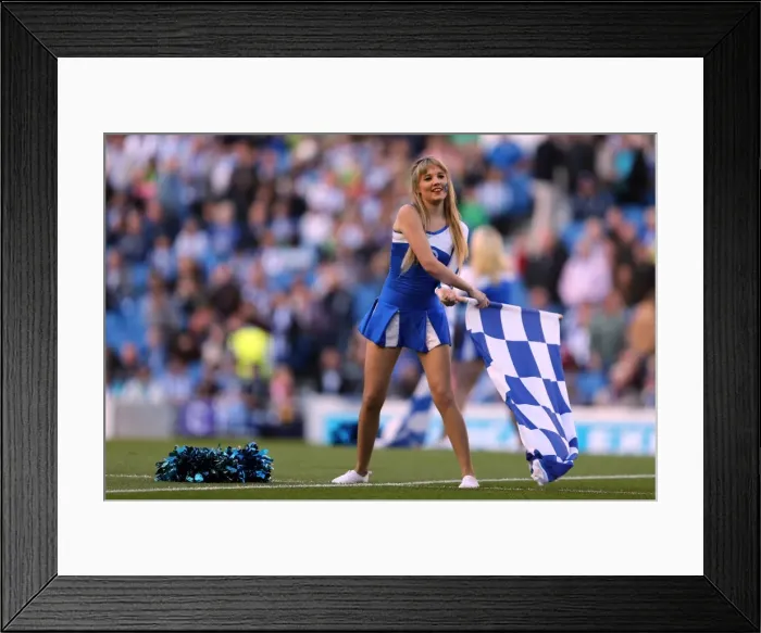 Framed Print : Brighton & Hove Albion vs. Birmingham City: A Home Battle - September 29, 2012 Framed Print : Brighton & Hove Albion vs. Birmingham City: A Home Battle - September 29, 2012