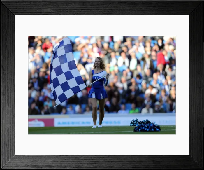 Framed Print : Brighton & Hove Albion vs Birmingham City (2012-13): Home Game Framed Print : Brighton & Hove Albion vs Birmingham City (2012-13): Home Game