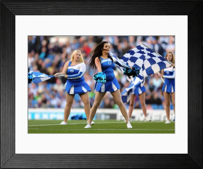 Framed Print : Brighton & Hove Albion vs Birmingham City: 2012-13 Home Game Highlights Framed Print : Brighton & Hove Albion vs Birmingham City: 2012-13 Home Game Highlights