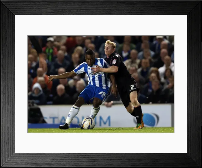 Framed Print : Brighton & Hove Albion vs. Birmingham City (2012-13): Home Game Highlights Framed Print : Brighton & Hove Albion vs. Birmingham City (2012-13): Home Game Highlights