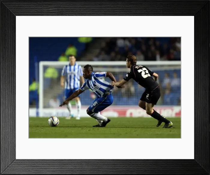 Framed Print : Kazenga LuaLua in Action: Brighton & Hove Albion vs Birmingham City, Npower Championship, Amex Stadium, September 29, 2012