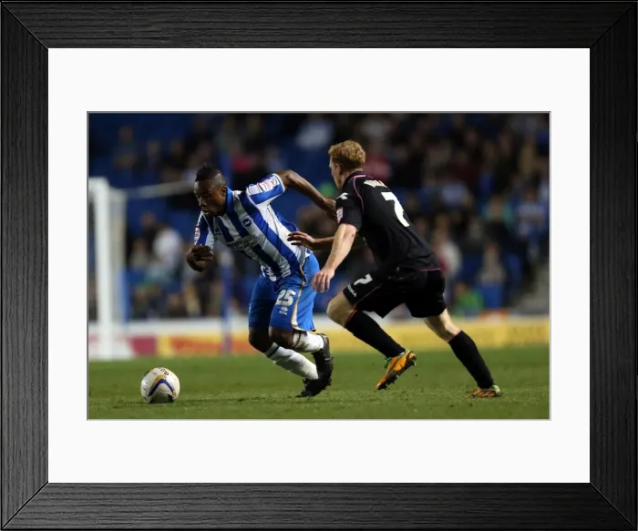 Framed Print : Brighton & Hove Albion vs. Birmingham City (2012-13) - Home Game Highlights: September 29